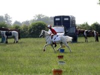 IMG 0042