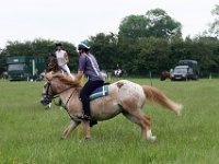 IMG 5096