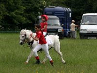 IMG 5198