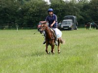 IMG 5291