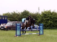 IMG 0012