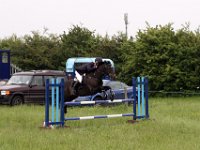 IMG 0016