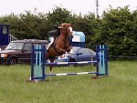 IMG 0019