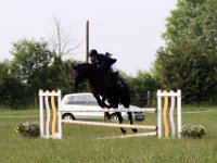 IMG 0029