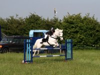IMG 0033