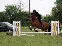 IMG 9886