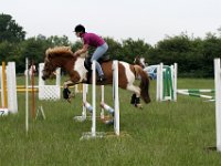 IMG 9904