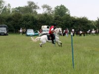 IMG 9918