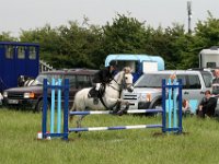 IMG 9976