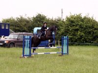 IMG 9986