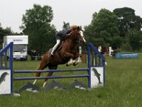 IMG 9996