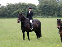 IMG 4988