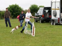 20070630 Shilton Charity Dogs
