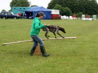 IMG 5544