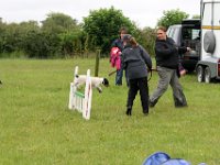 IMG 5568