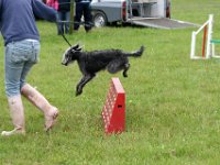 IMG 5586