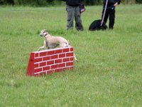 IMG 5591
