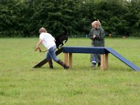 IMG 5596