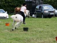 IMG 6684