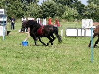 IMG 6699