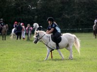 IMG 9701