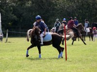 IMG 9709