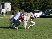 IMG 9871
