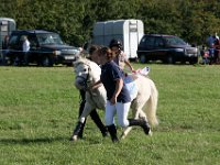 IMG 9876