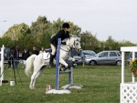 IMG 9608