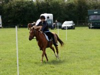 IMG 0622
