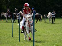 IMG 0628