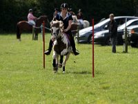 IMG 0642