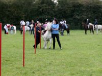 IMG 0679