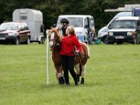 IMG 0682