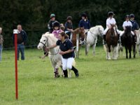 IMG 0694