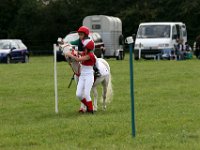 IMG 0696