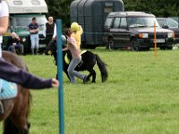 IMG 0701