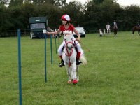 IMG 0729