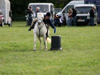 IMG 0917