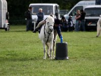 IMG 0919