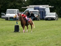 IMG 0929