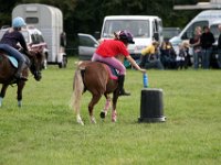 IMG 0933