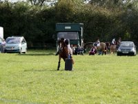 IMG 0953