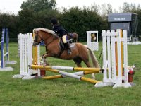 IMG 0477