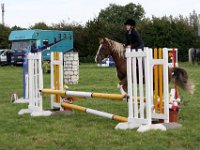 IMG 0743