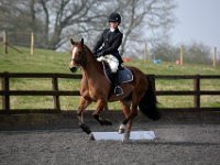 dsc 0432 30473601660 o