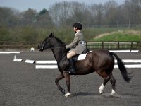 dsc 0453 30737630716 o