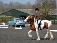 dsc 0489 30774468585 o