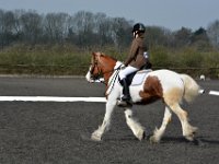 dsc 0491 30774480005 o