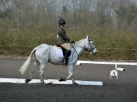 dsc 0502 30139121453 o